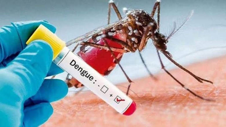 ডেঙ্গু সংক্রমণের এক ভয়ঙ্কর মাস: আক্রান্ত ২২ হাজার, মৃত্যু ৮০